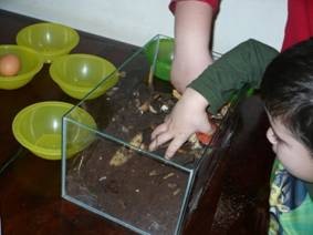 [clip_image006[9][2].jpg]